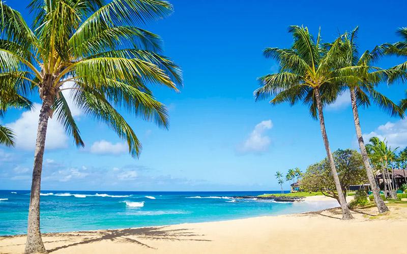 移民中介利潤有多大？揭示行業背后的秘密